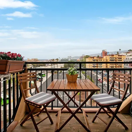 Cute In The Sun * プエルト・デ・ラ・クルス