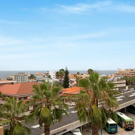 Cute In The Sun プエルト・デ・ラ・クルス